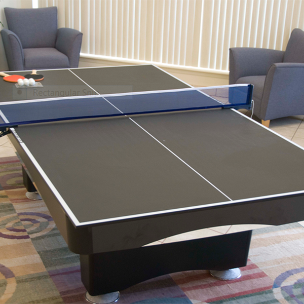 Olhausen Conversion Ping Pong Table Top
